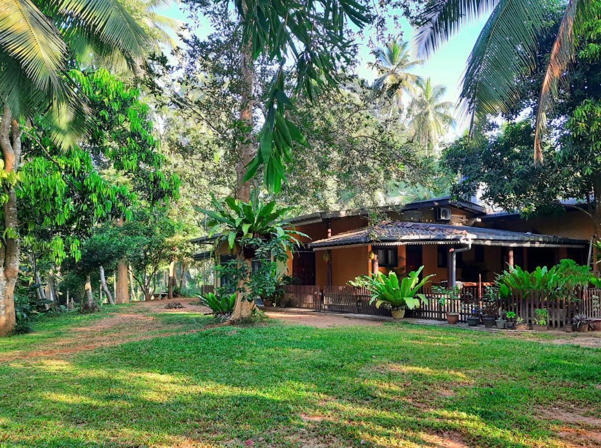 Nature'S Hideout Holiday Home Mirigama Kültér fotó